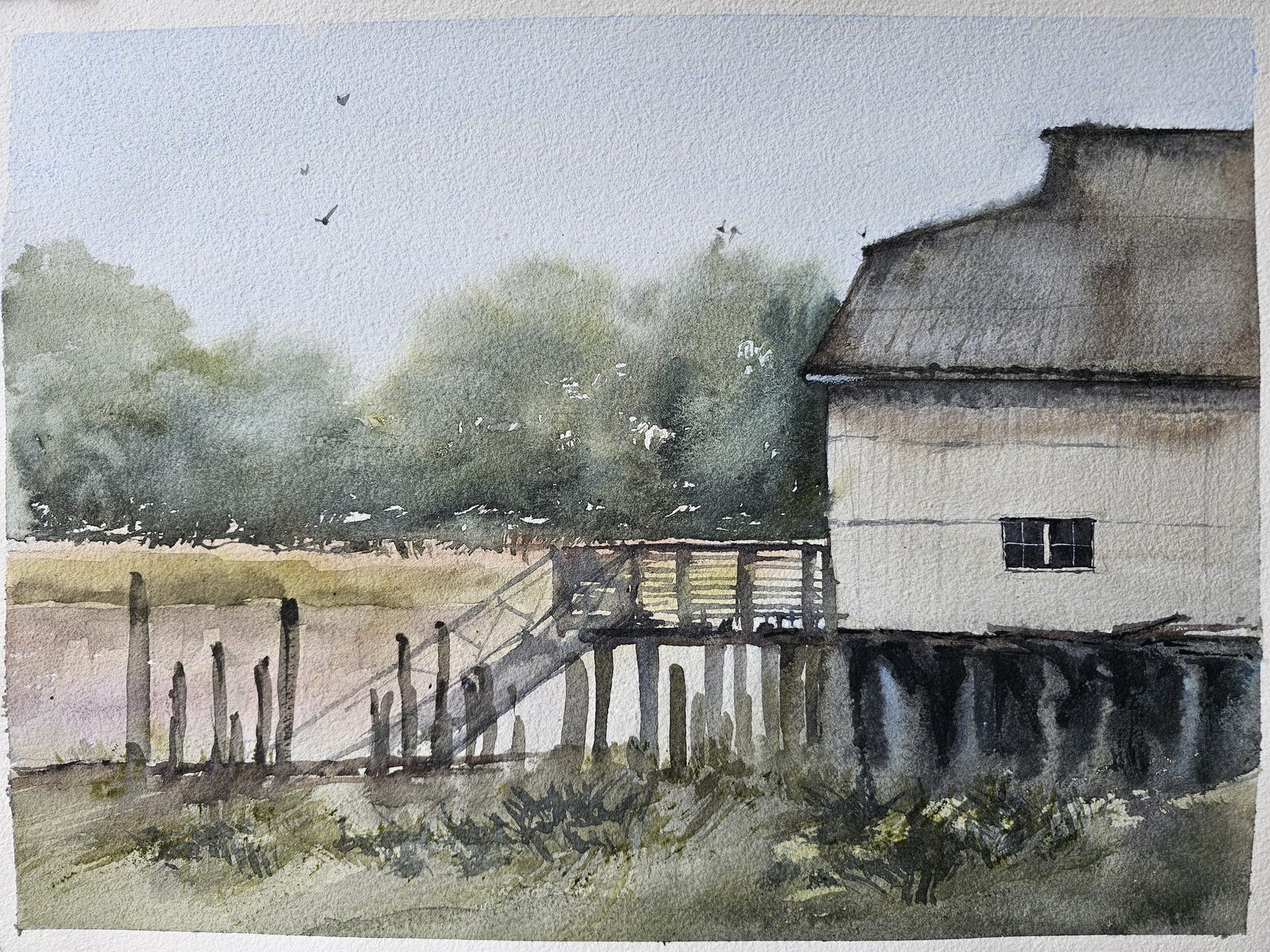 Watercolour of a heritage cannery building on wooden pilings beside a marsh